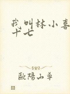 我叫林小喜今年十七