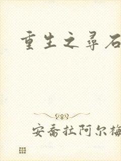 重生之寻石者