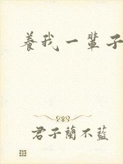 养我一辈子封面