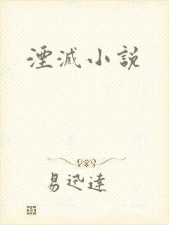 湮灭小说