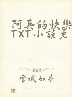 阿兵的快乐生活TXT小说免费阅读全章