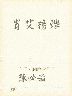 肖艾杨烁封面