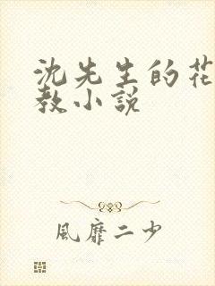 沈先生的花式调教小说