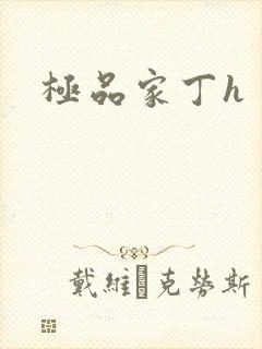 极品家丁h