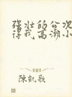 强壮的公次次弄得我高潮小说