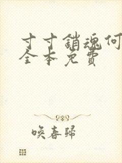 寸寸销魂何生祥全本免费