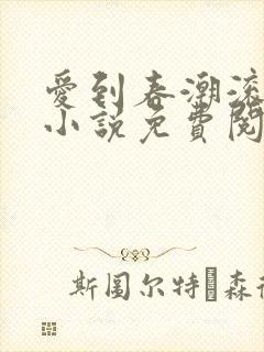爱到春潮滚滚来小说免费阅读