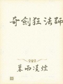 奇剑狂法师封面