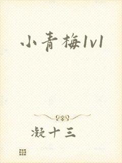 小青梅1v1