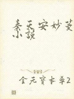 秦天安妙菱修仙小说