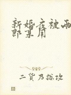 新婚夜被两个伴郎享用封面