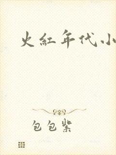 火红年代小说