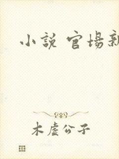 小说 官场新贵