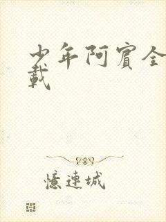 少年阿宾全集下载封面