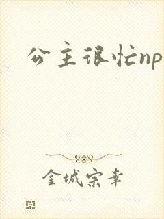 公主很忙npc