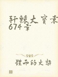 轩辕大宝袁雪妃674章