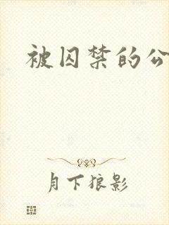 被囚禁的公主