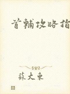 首辅攻略指南封面