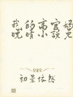 我的高官妈妈苏晚晴小说免费阅读