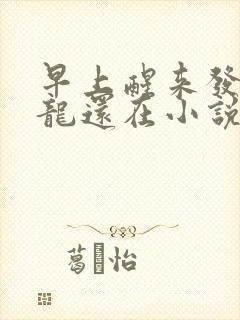 早上醒来发现巨龙还在小说