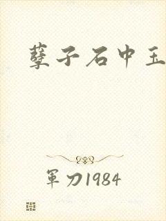 孽子石中玉