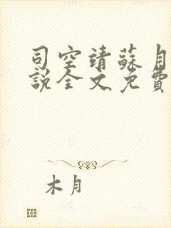 司空靖苏月汐小说全文免费阅读