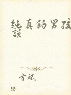 纯真的男孩子小说