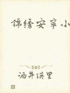 锦绣安宁小说