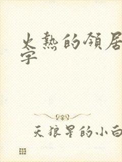 火热的领居中文字