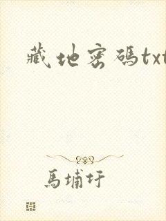 藏地密码txt