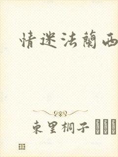 情迷法兰西封面