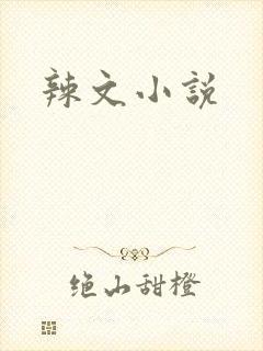 辣文小说