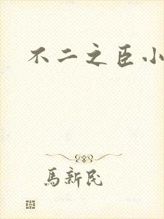 不二之臣小说封面