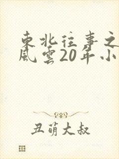 东北往事之黑道风云20年小说封面