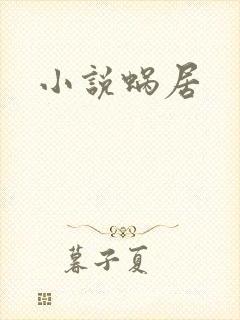小说蜗居封面
