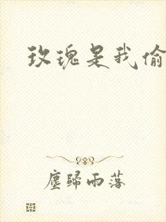 玫瑰是我偷的封面