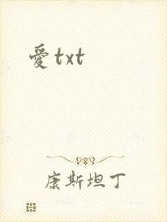 爱txt封面