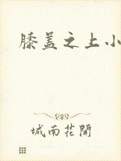 膝盖之上小说