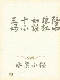 三十如狼陪读妈妈小说杜雨馨封面