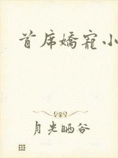 首席娇宠小情人
