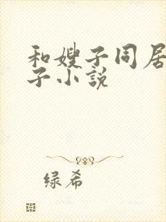 和嫂子同居的日子小说封面