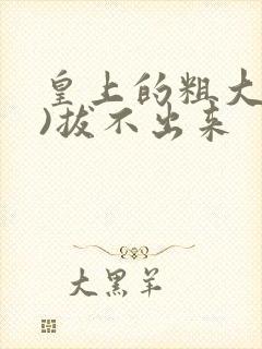皇上的粗大(h)拔不出来封面