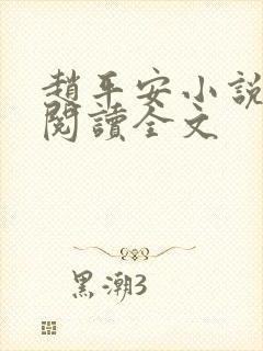 赵平安小说免费阅读全文封面