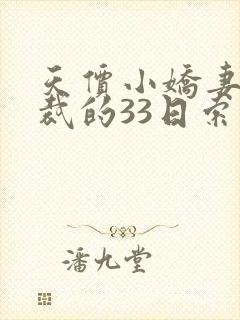 天价小娇妻,总裁的33日索情全文免费封面
