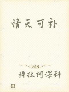 情天可补