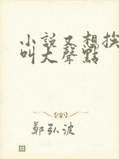 小说又想挨C了叫大声点