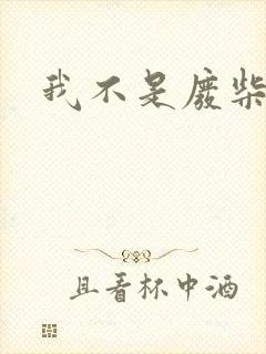 我不是废柴