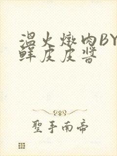 温火炖肉BY海鲜皮皮酱封面