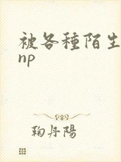 被各种陌生人 np