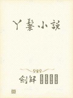 丫鬟小说